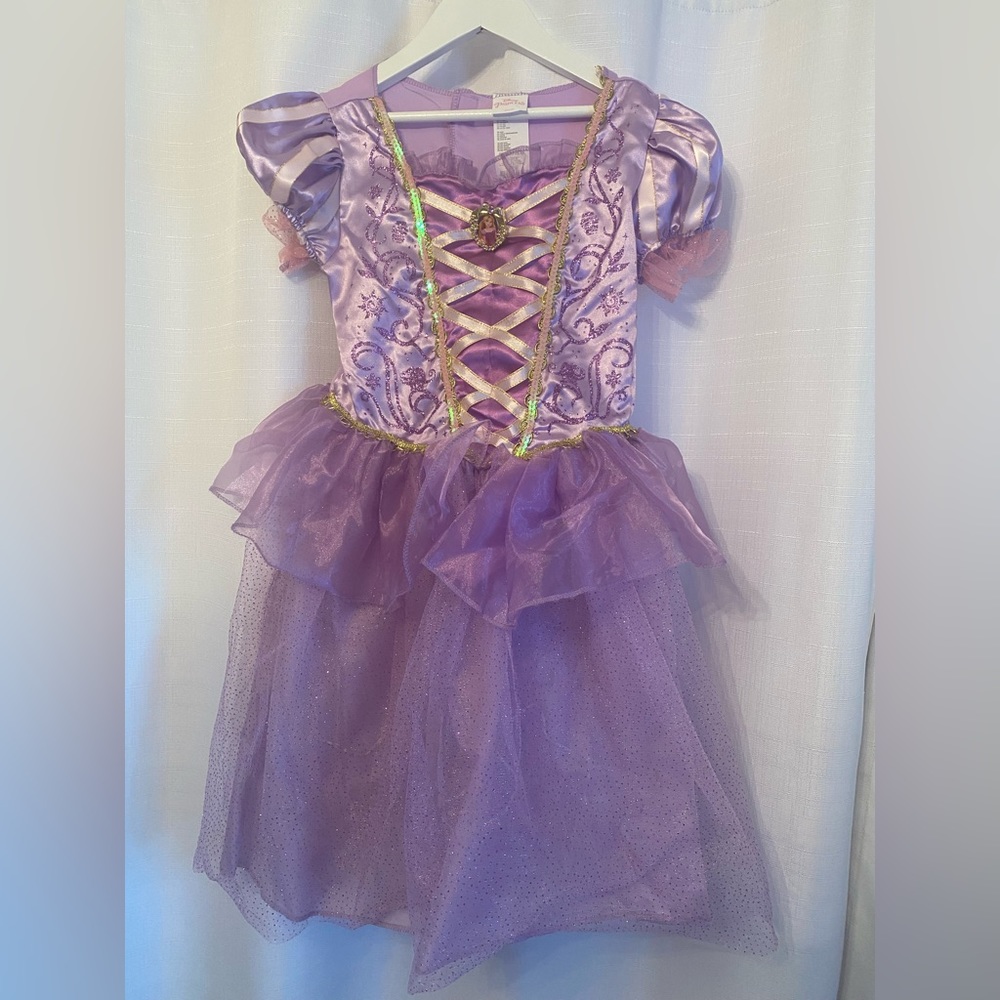 Disney Rapunzel Costume